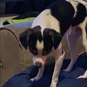 Meet your Posher, Kathy